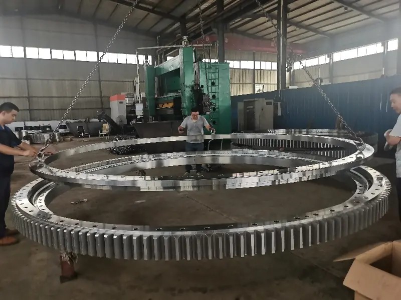 Stacker-Reclaimer Slewing Bearing