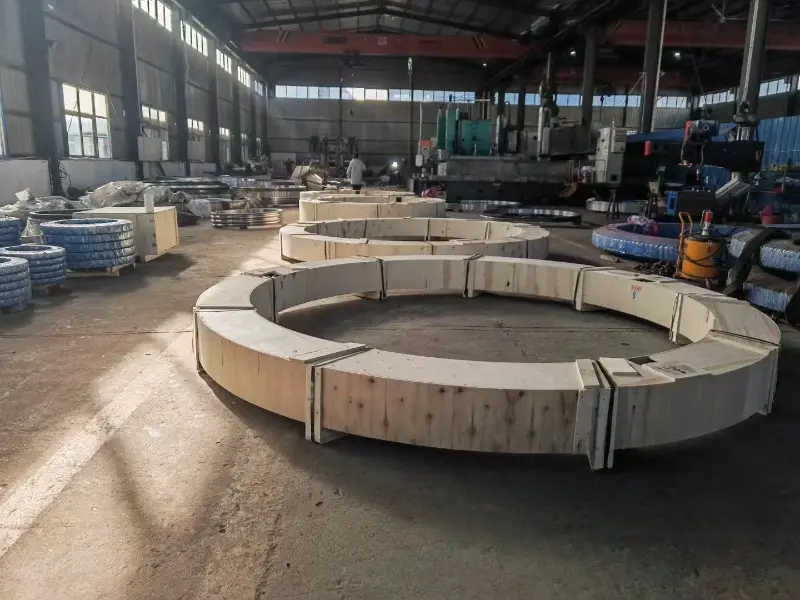 Stacker-Reclaimer Slewing Bearing